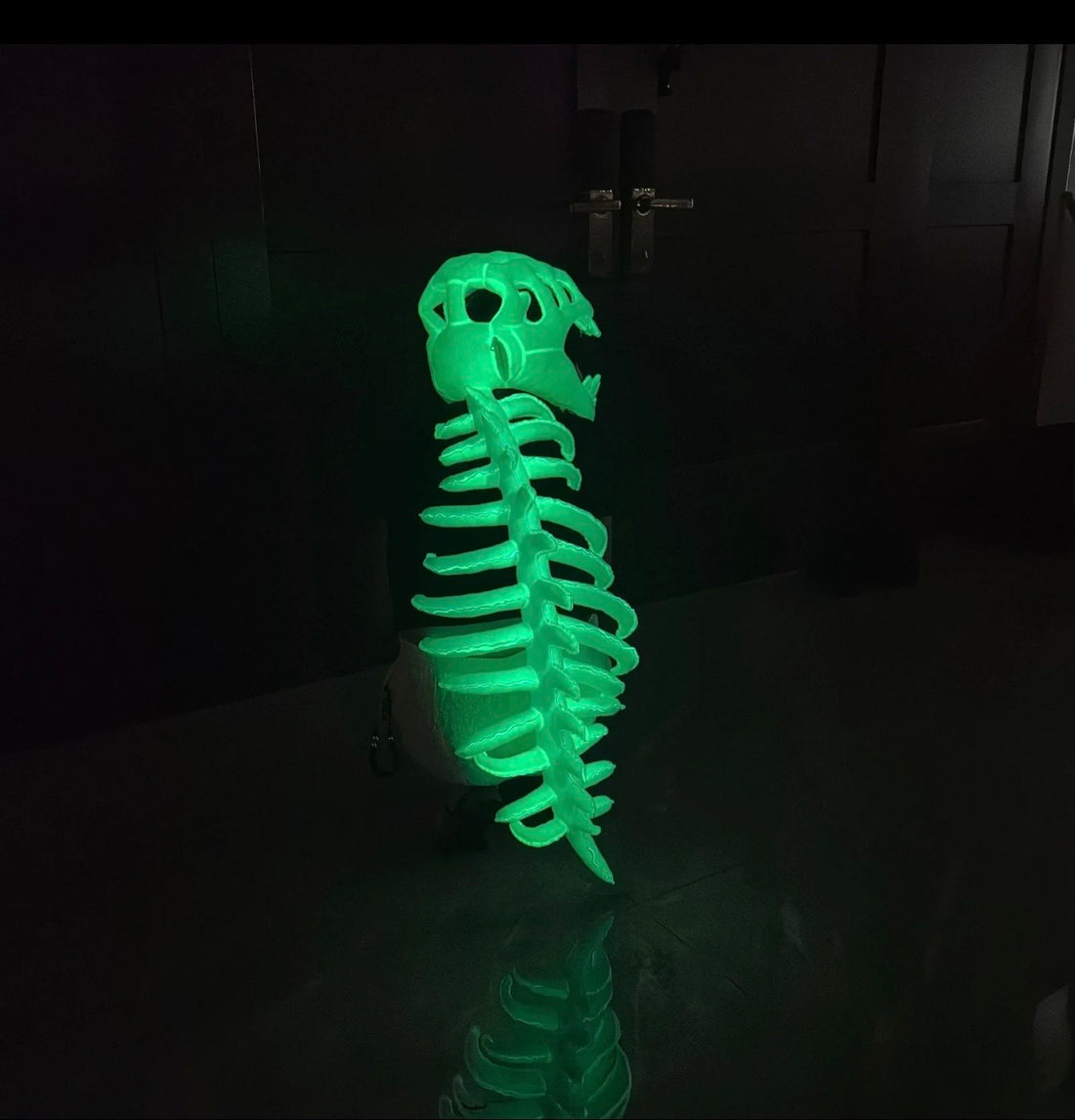 DinoSnug™