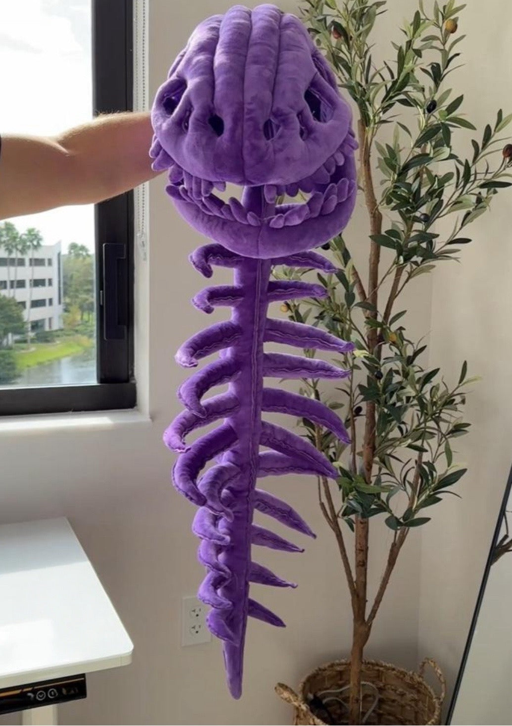 DinoSnug™